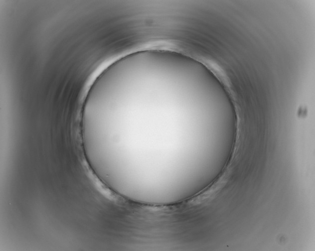 X0000091060816200709041157