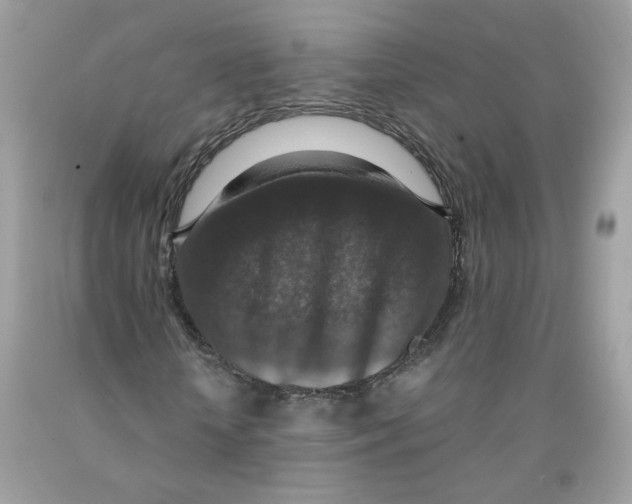 X0000091060818200709041157