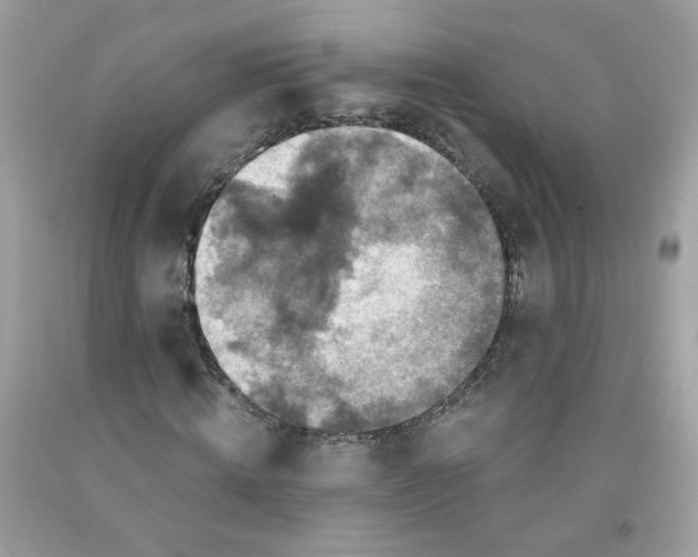 X0000091060820200709041157