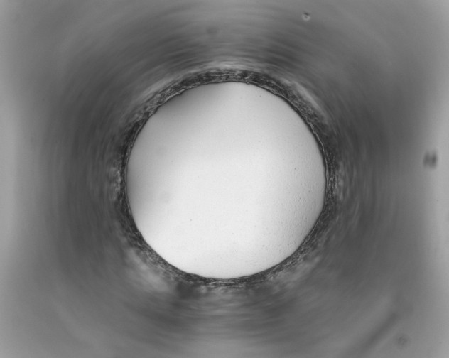 X0000091060821200709041157