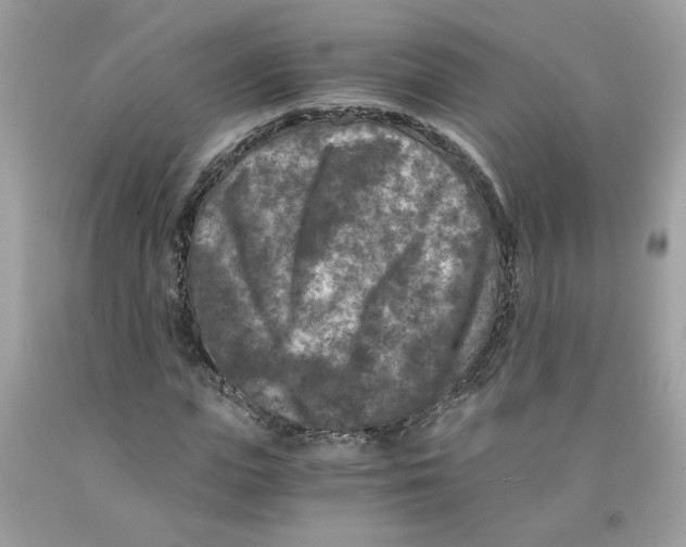 X0000091060823200709041157