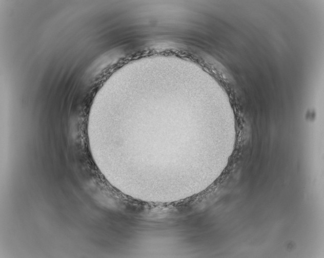 X0000091060824200709041157