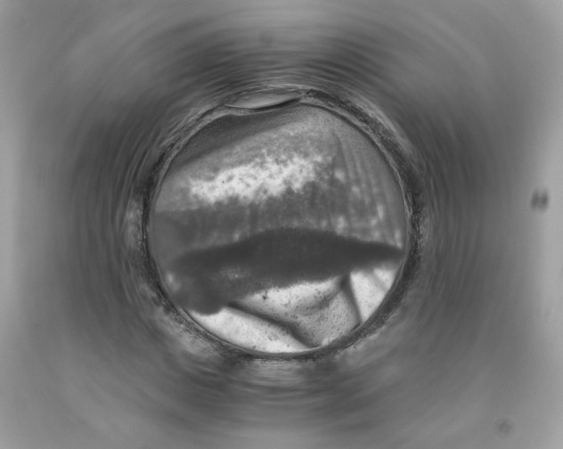 X0000091060825200709041157