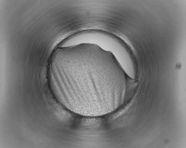 X0000091060826200709041157