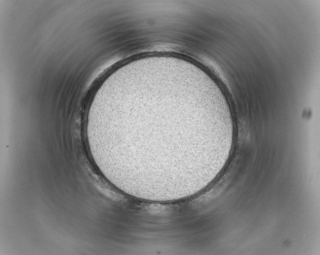 X0000091060827200709041157