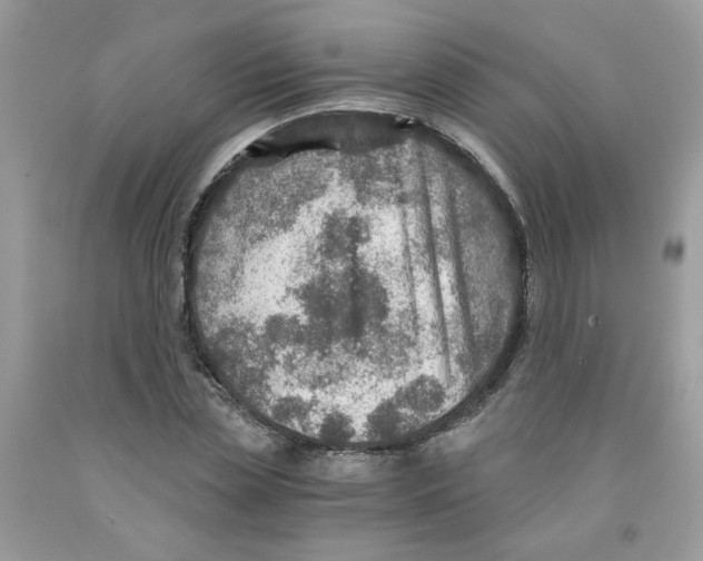 X0000091060829200709041157