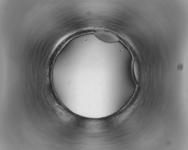 X0000091060830200709041157