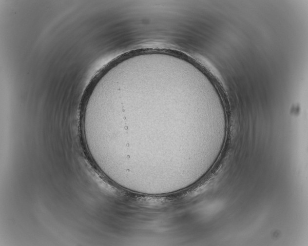 X0000091060831200709041157