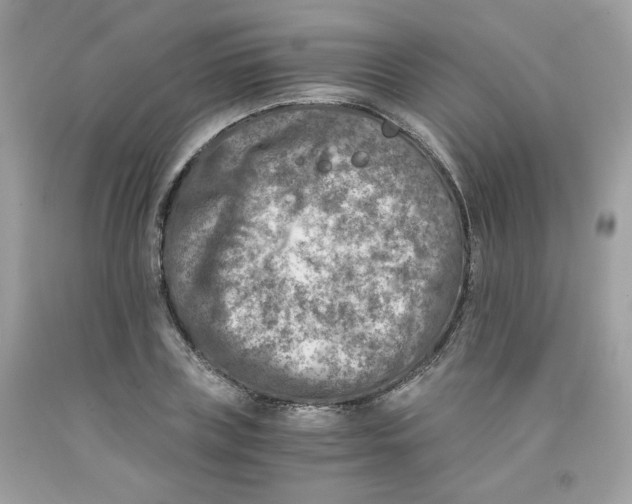 X0000091060835200709041157