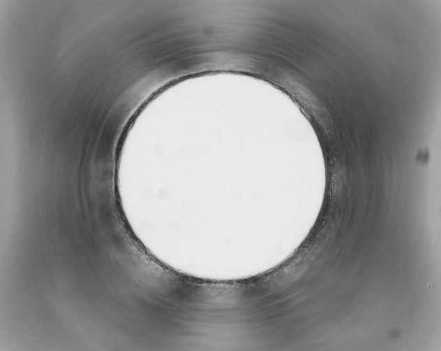 X0000091060836200709041157