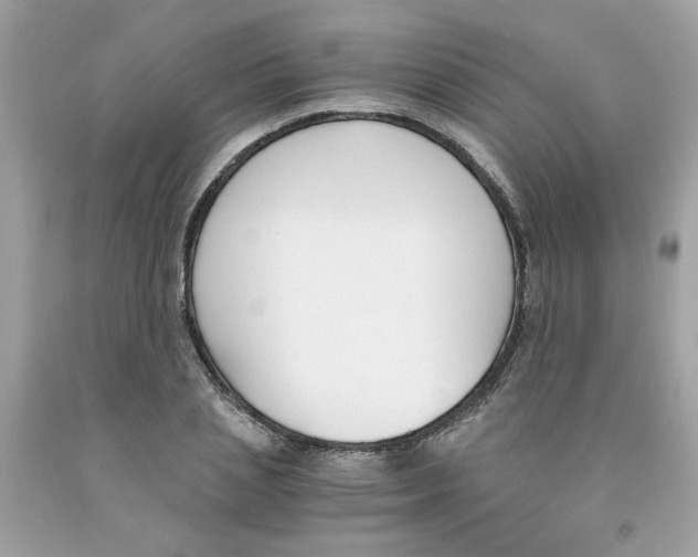 X0000091060837200709041157