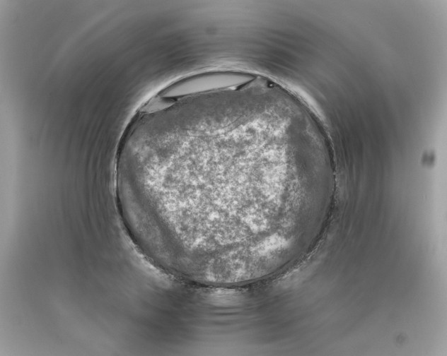 X0000091060839200709041157