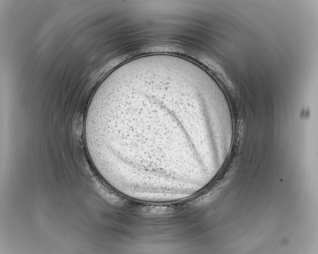 X0000091060841200709041157