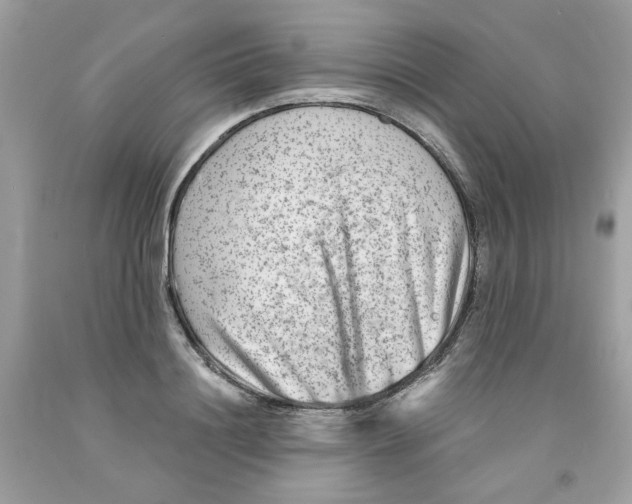 X0000091060844200709041157