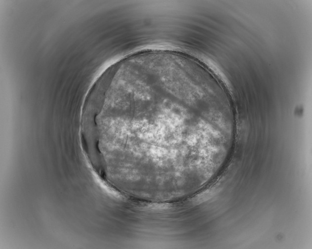 X0000091060845200709041157