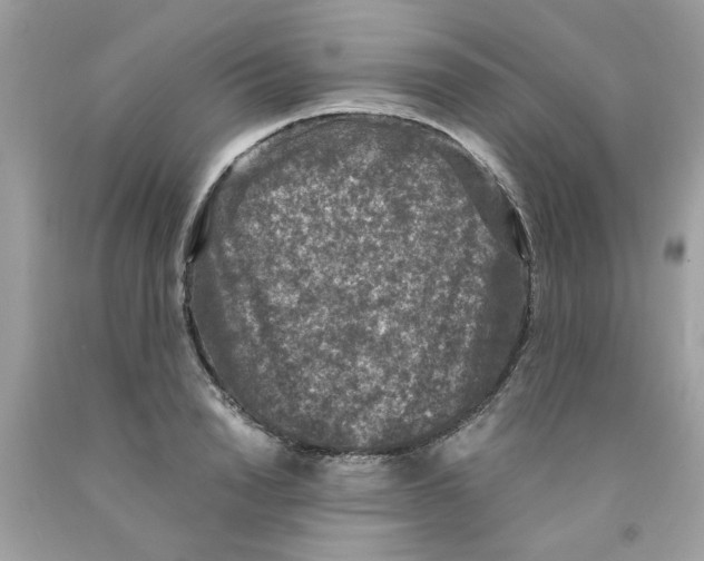 X0000091060846200709041157