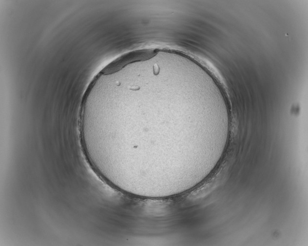 X0000091060847200709041157