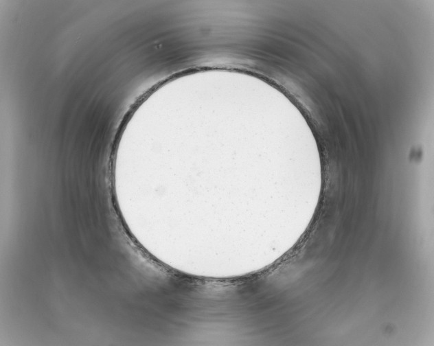 X0000091060848200709041157