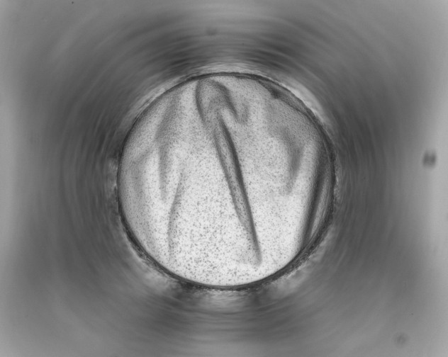 X0000091060849200709041157