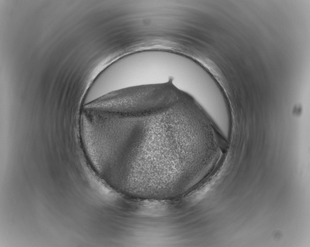 X0000091060850200709041157