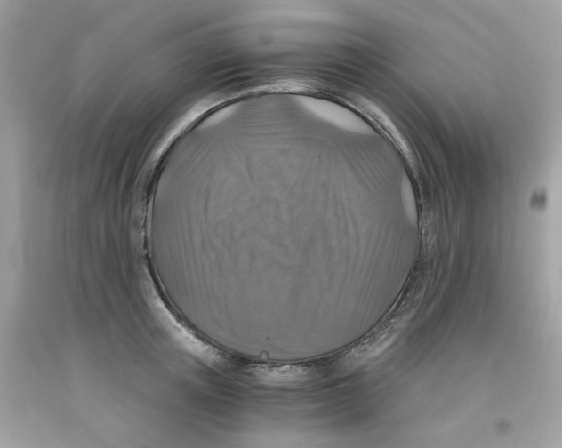 X0000091060851200709041157