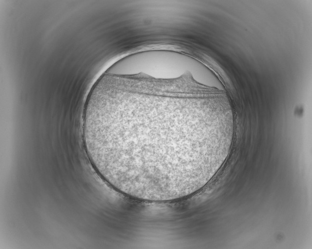 X0000091060852200709041157