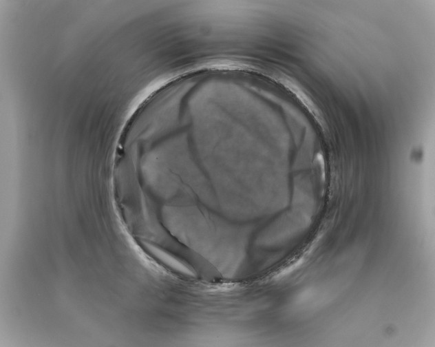 X0000091060853200709041157