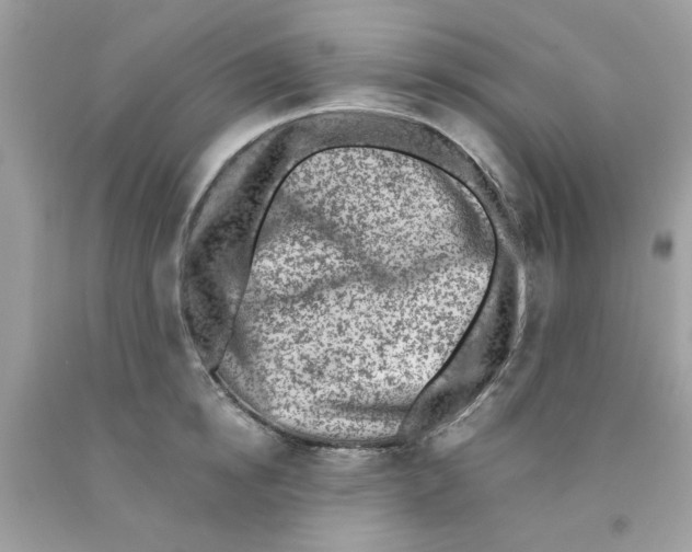 X0000091060854200709041157