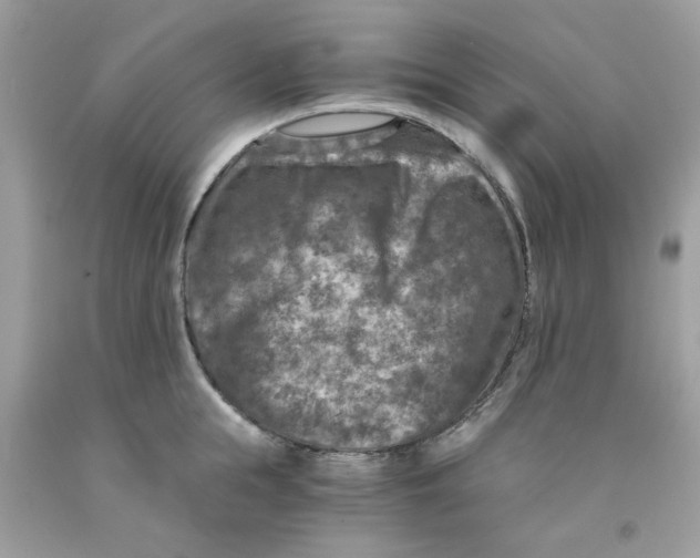 X0000091060855200709041157