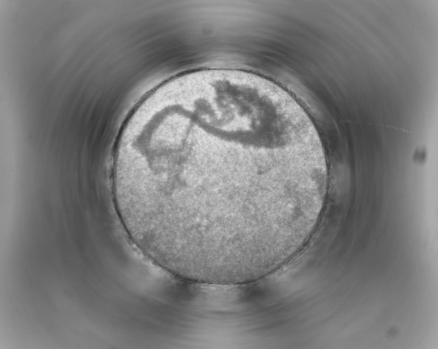 X0000091060856200709041157