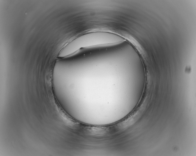 X0000091060857200709041157