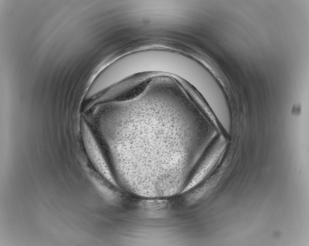 X0000091060858200709041157