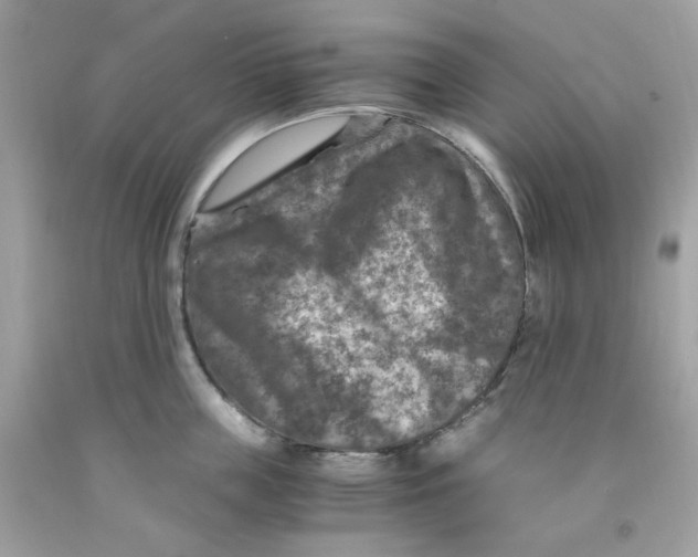 X0000091060859200709041157