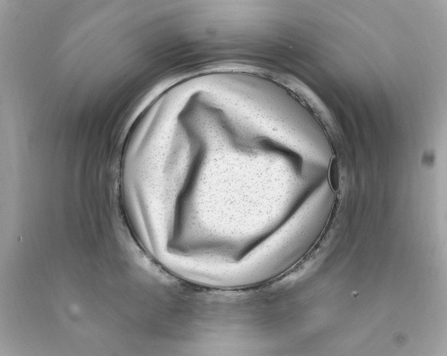 X0000091060860200709041157