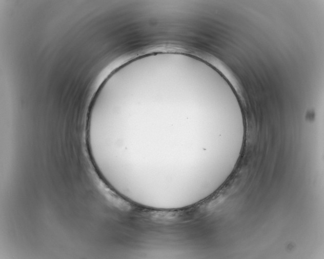 X0000091060861200709041157