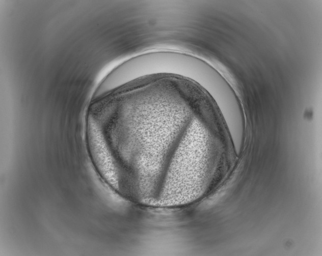 X0000091060862200709041157