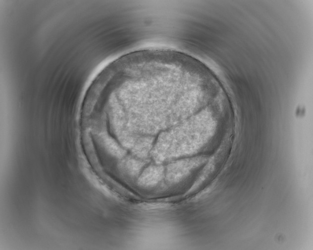 X0000091060864200709041157