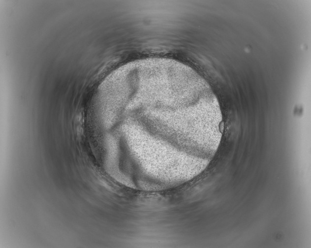 X0000091060866200709041156