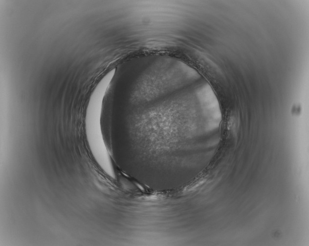 X0000091060868200709041156