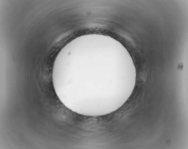 X0000091060869200709041156