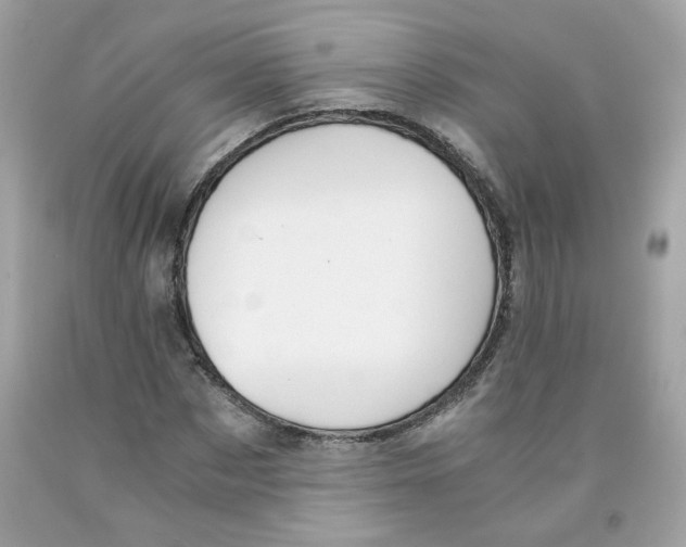 X0000091060873200709041156