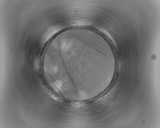 X0000091060874200709041156