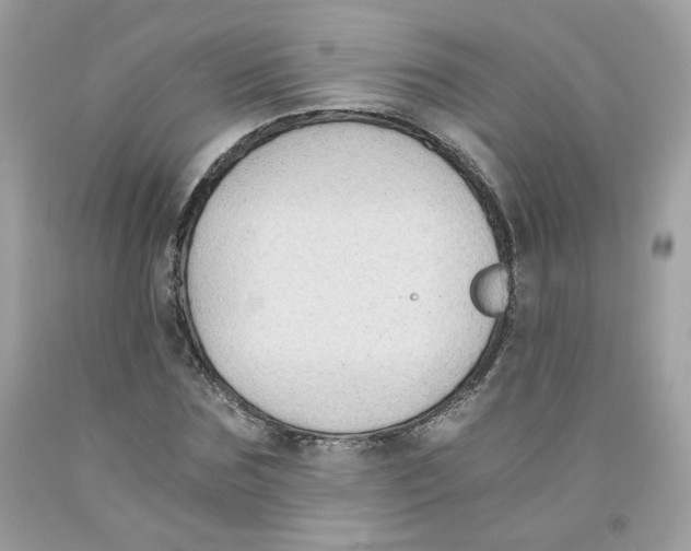 X0000091060875200709041156