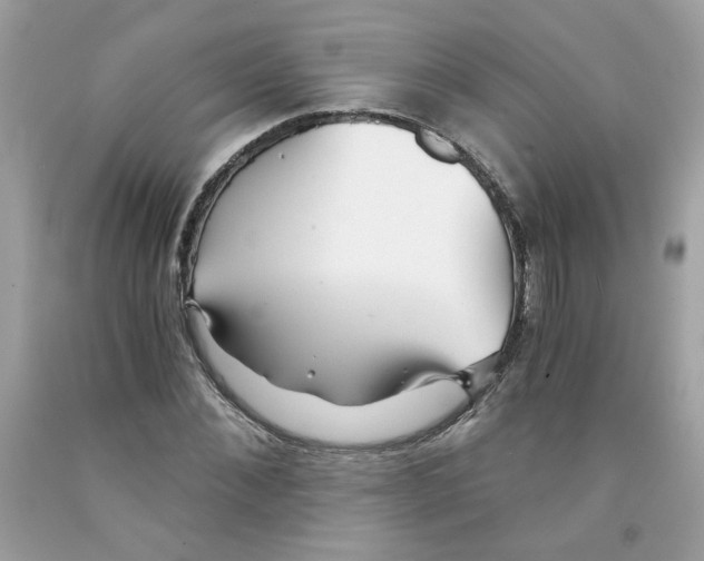 X0000091060876200709041156