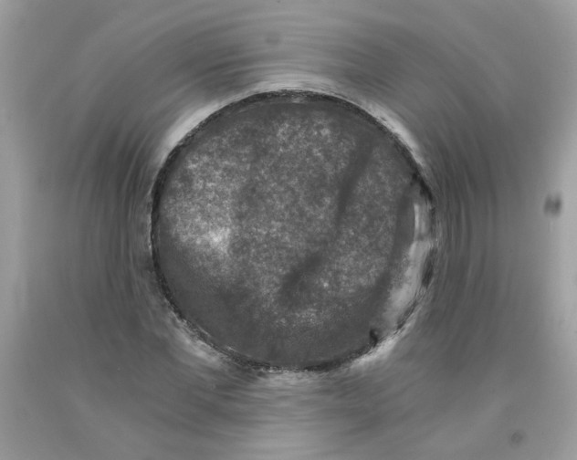 X0000091060877200709041156