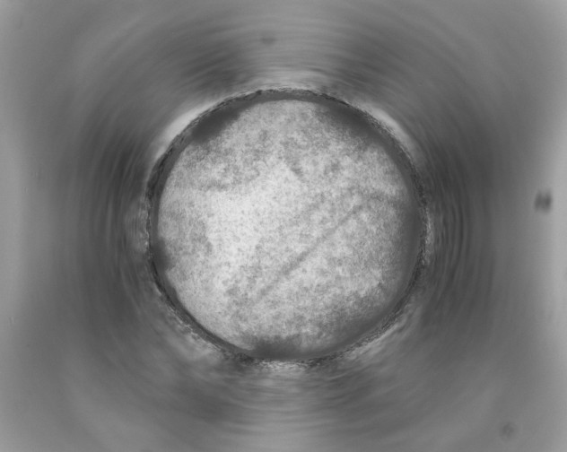 X0000091060878200709041156