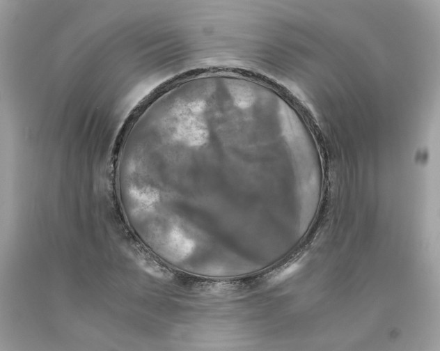 X0000091060879200709041156