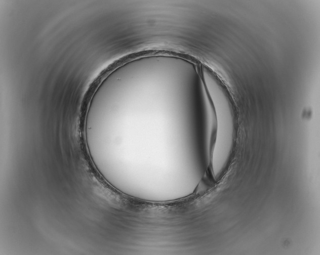 X0000091060880200709041156