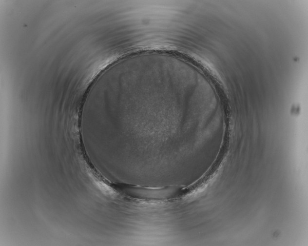 X0000091060881200709041156