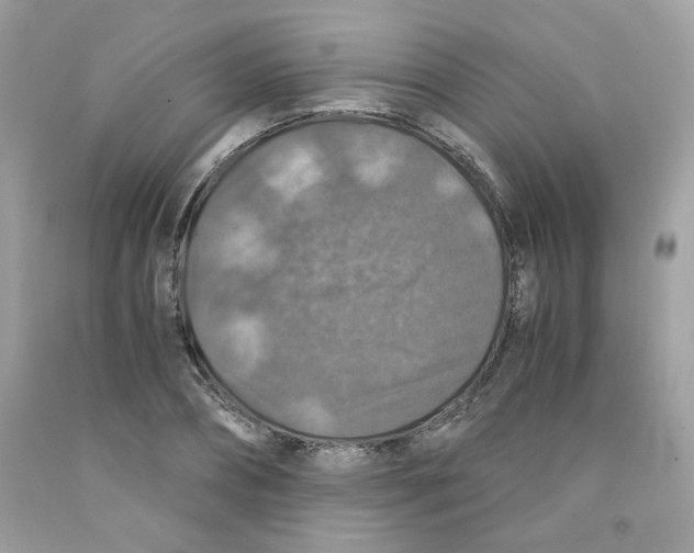 X0000091060882200709041156